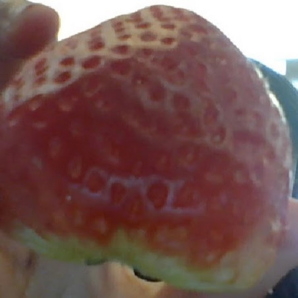 Meet your Posher, Aya